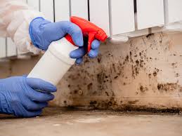 Best Black Mold Removal  in Sparta, IL